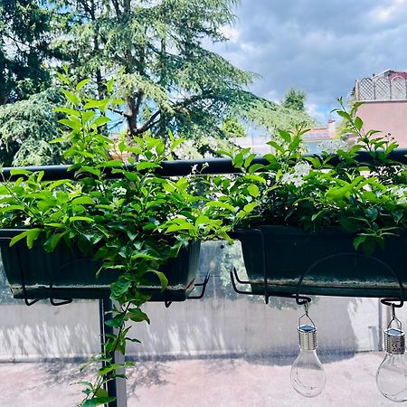 M Boutique Suite Avezzano Esterno foto