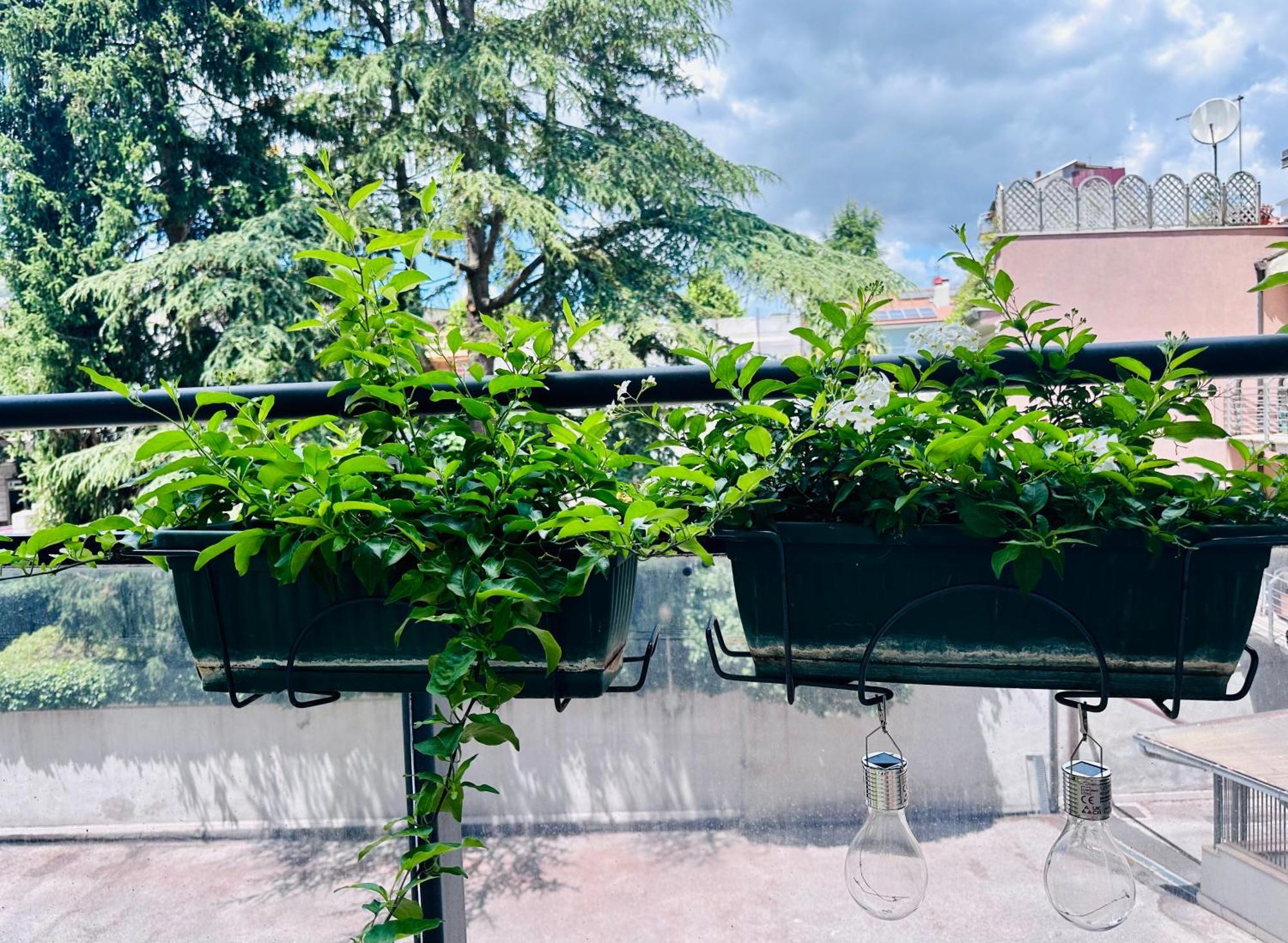 M Boutique Suite Avezzano Esterno foto
